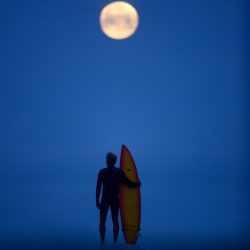 The New York Web Times – newyorkwebtimes.com